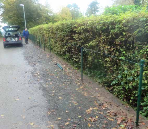 Zaum Friedhof Rep. 1