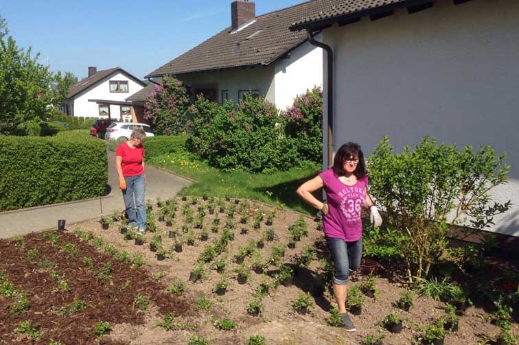 WhatsApp Image 2018 05 08 at 19.36.11