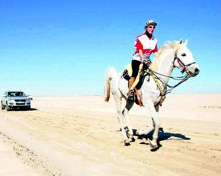 188472683 344 onlineBild