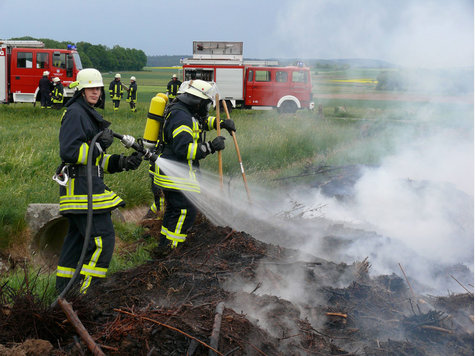 1655364992 wo p1050995.9