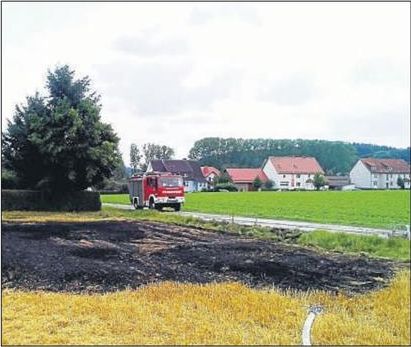 Ausschnitt Seite 1 10630.0