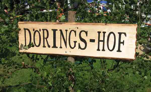 db 08 07 2006Festzug3 1151