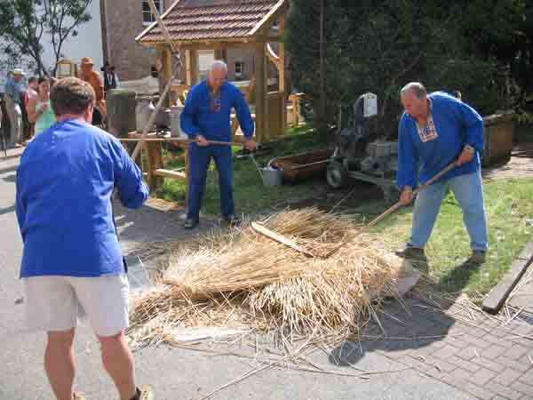db 08 07 2006Festzug3 1671