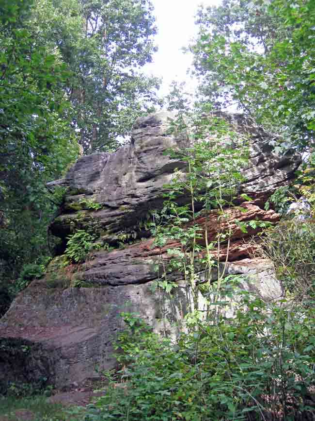 2009 07 26 005