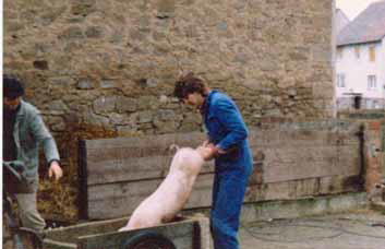 Fritz LW 3 001