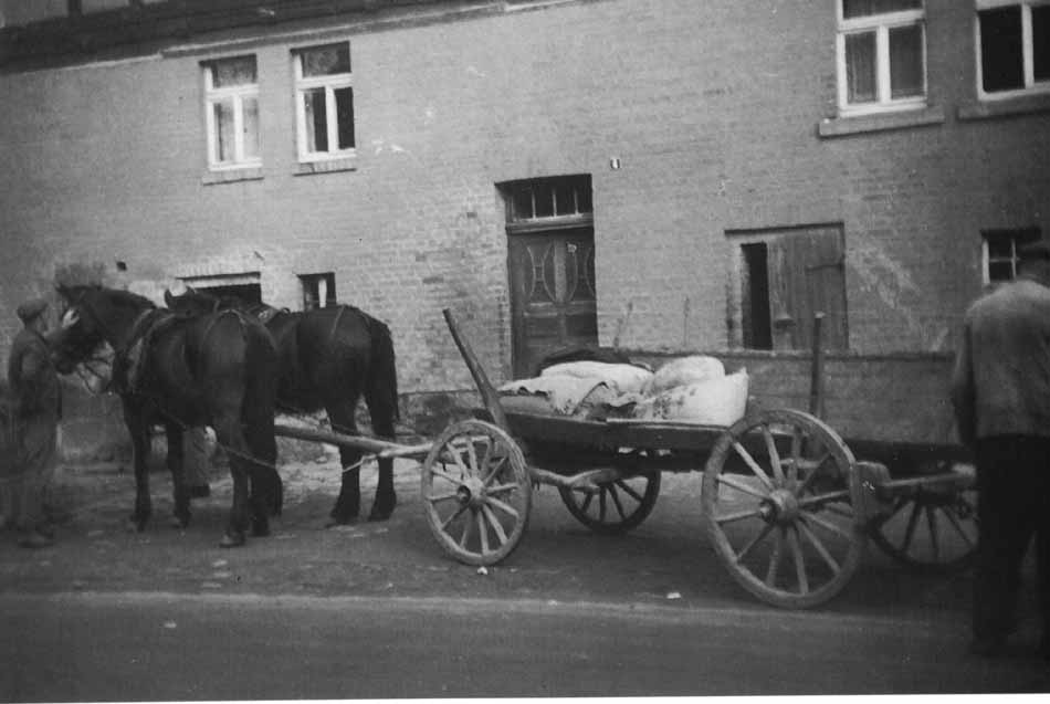 Hafersaeen1956NET