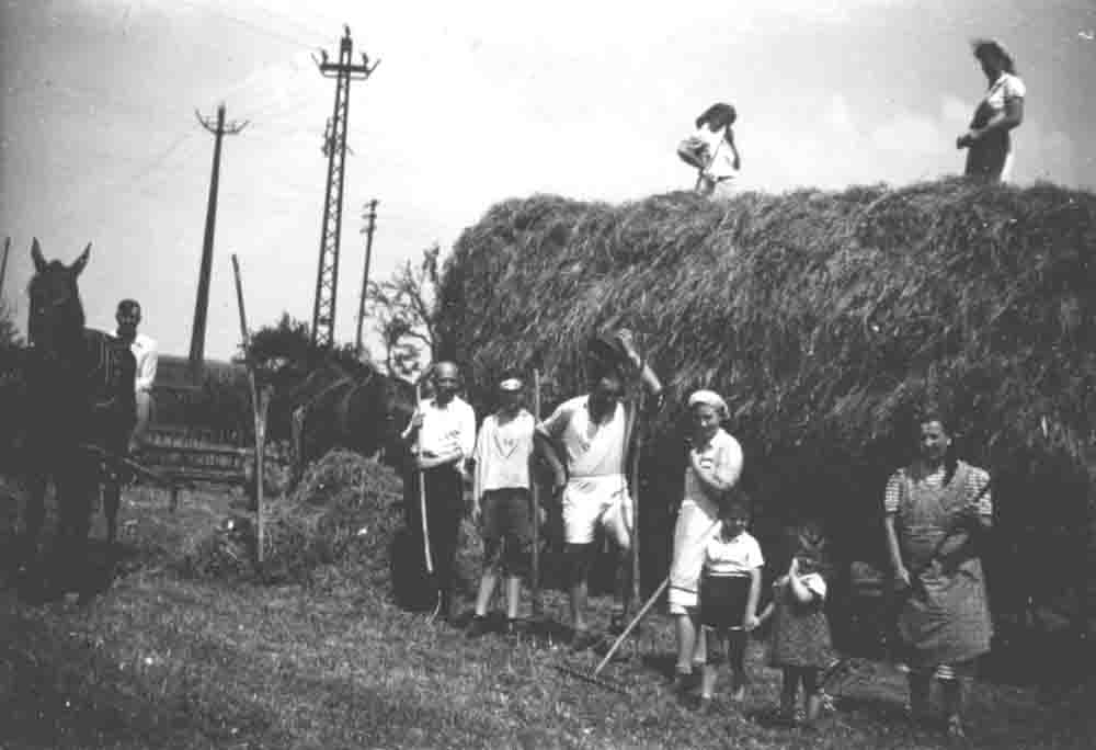 HeuernteNET