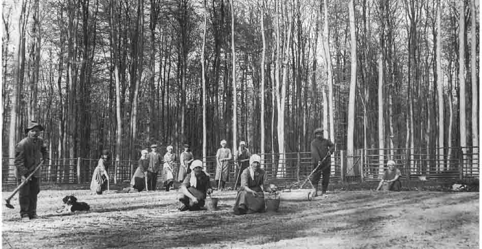 WaldNET
