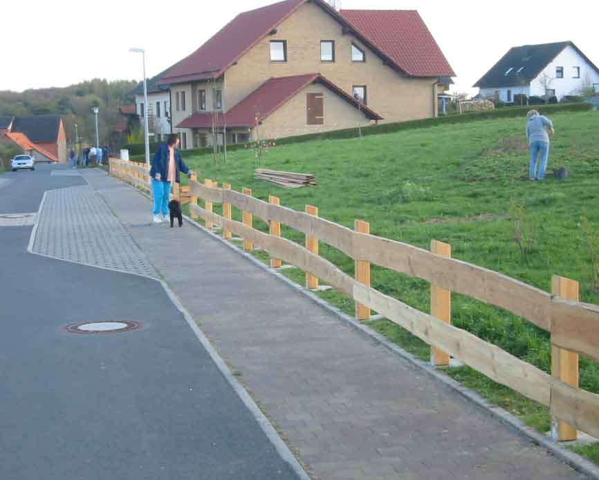 ZaunNaschg2