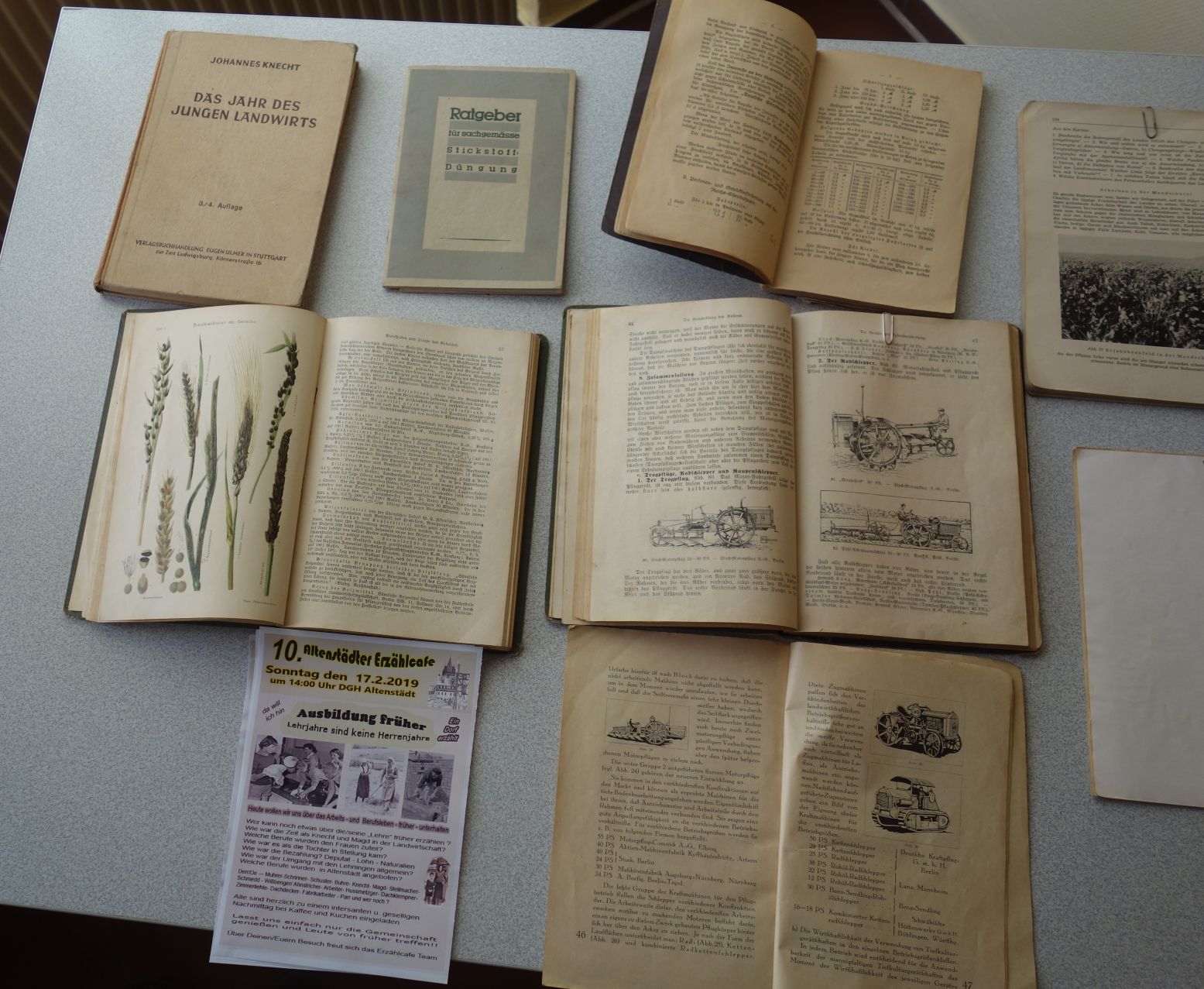 2019 diverse 002 WEB