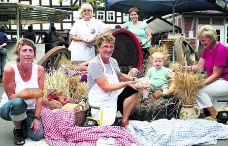 264828298 344 onlineBild