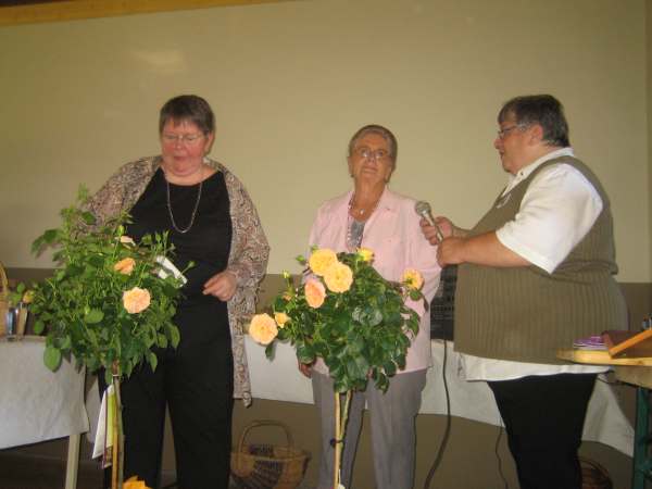 IMG 4547